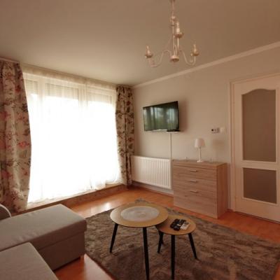 Belvárosi Terasz Apartman Gyula