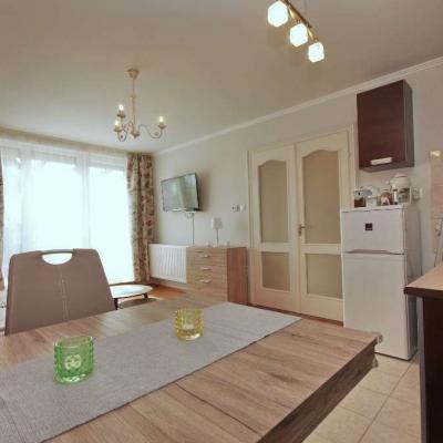 Belvárosi Terasz Apartman Gyula